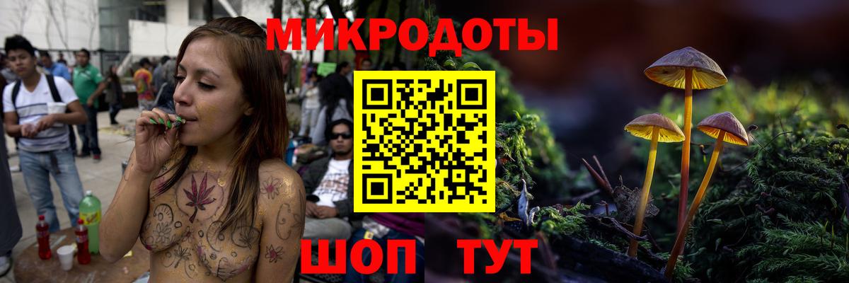 Псилоцибиновые грибы GOLDEN TEACHER Зерноград